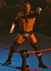 An image of Triple H.